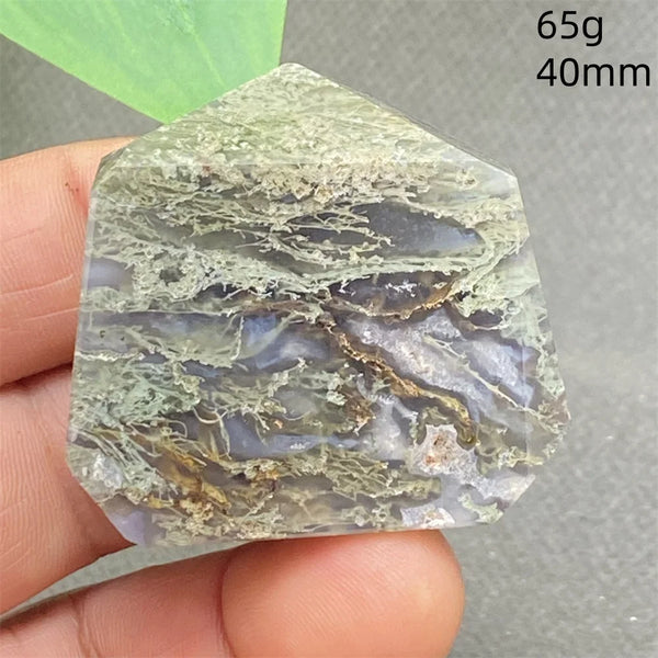 Green Water Plant Agate-ToShay.org