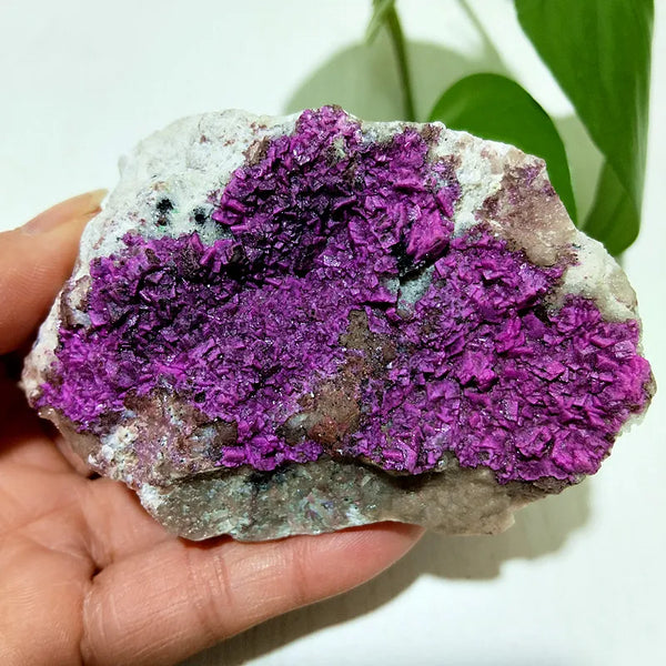 Pink Cobalt Calcite Crystal-ToShay.org