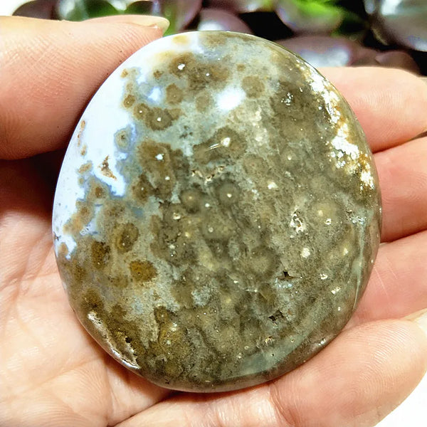 Mixed Ocean Jasper Palm Stones-ToShay.org