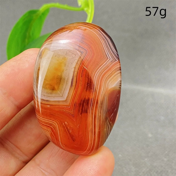 Orange Silk Lace Agate-ToShay.org