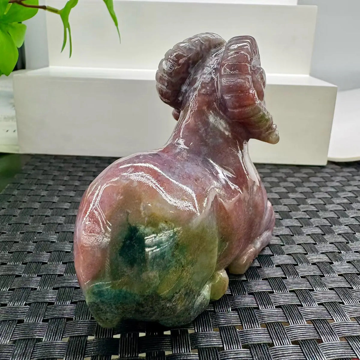 Mixed Agate Ram-ToShay.org