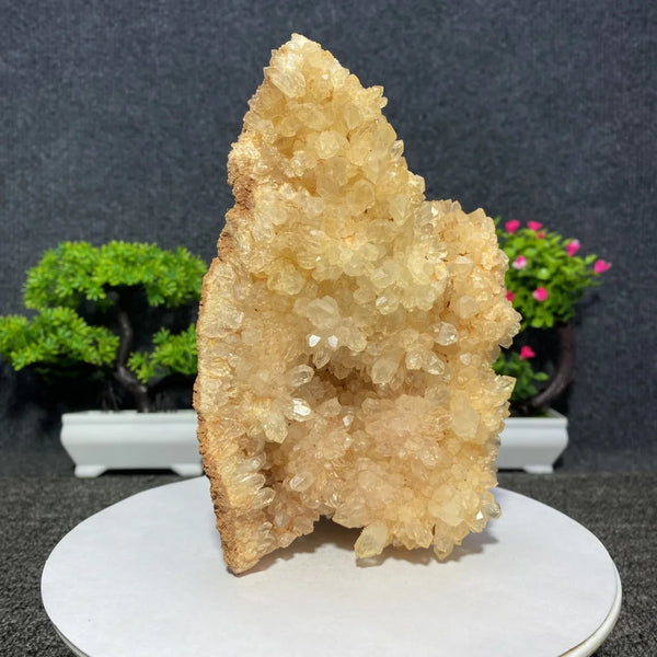 White Quartz Crystal Cluster-ToShay.org