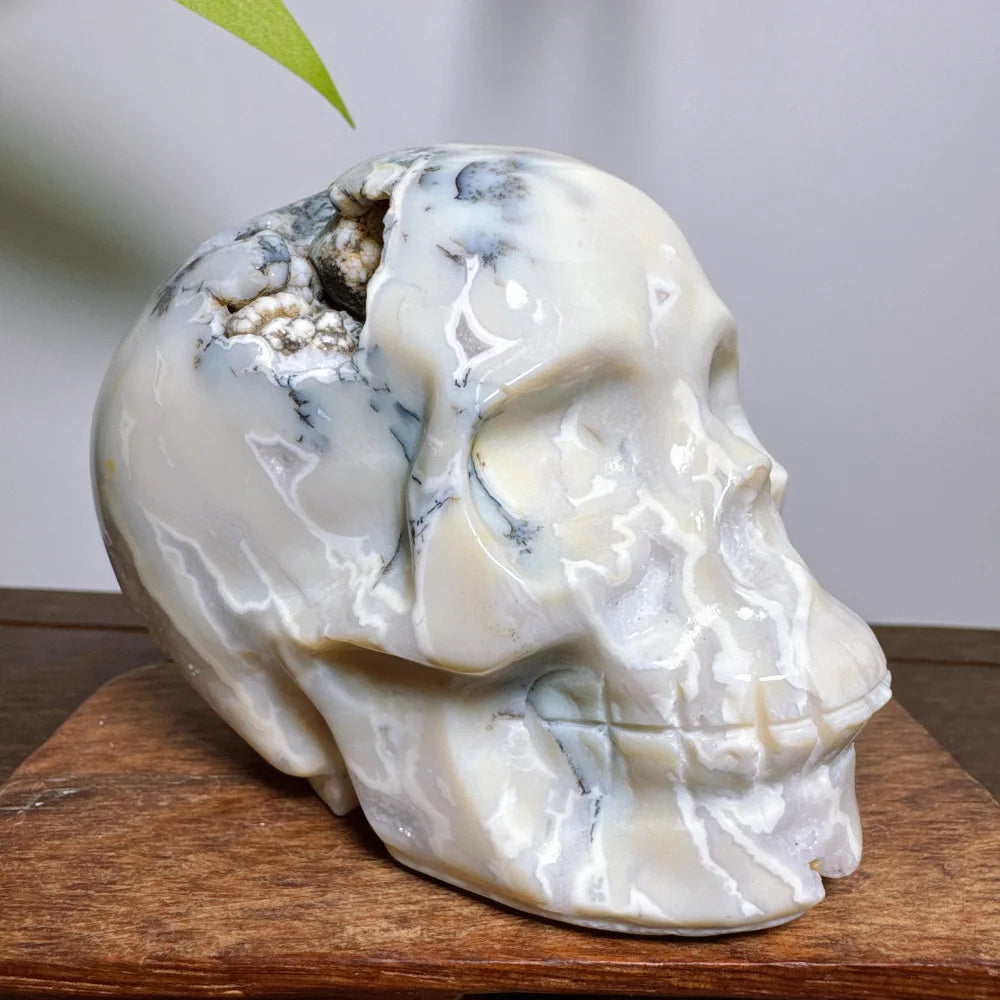 White Agate Geode Cranium Natural Stones Crystals Chakra Skulls Wicca Wichcraft Reiki Healing Gems Minerals Meditation Room-ToShay.org