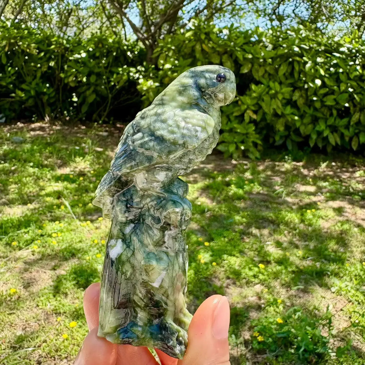 Mixed Quartz Parrots-ToShay.org