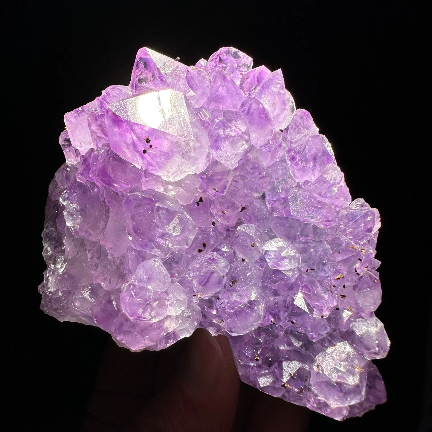 Purple Amethyst Skull Cluster-ToShay.org