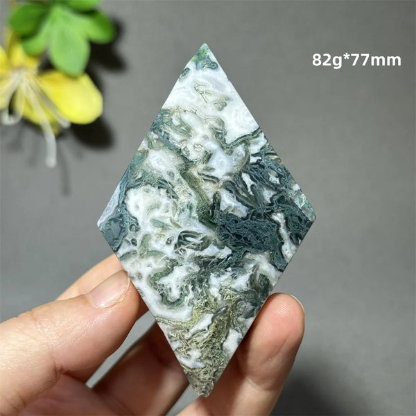 Green Aquatic Plant Agate-ToShay.org