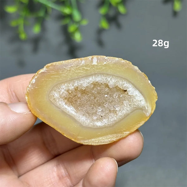 Yellow Agate Slice-ToShay.org