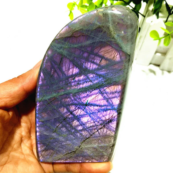 Violet Labradorite Crystal-ToShay.org
