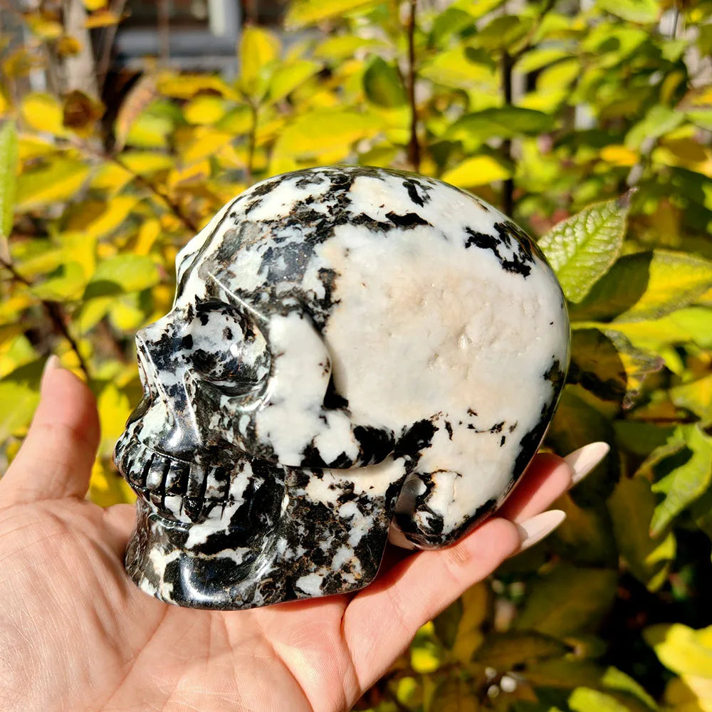 Black White Zebra Jasper Skull-ToShay.org