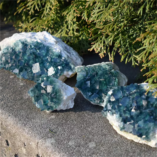 Green Fluorite Crystal Cluster-ToShay.org