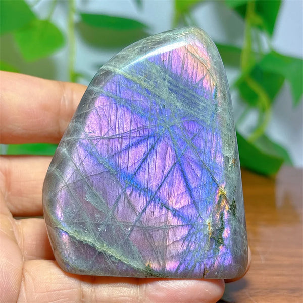 Purple Labradorite Crystal-ToShay.org