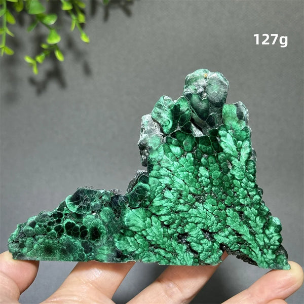 Green Malachite Slice-ToShay.org