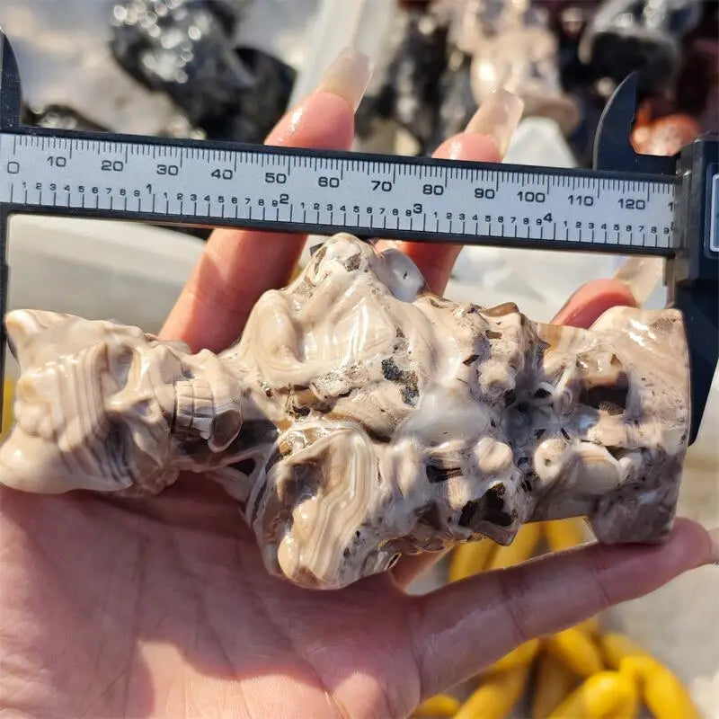 White Crazy Agate Skeleton-ToShay.org