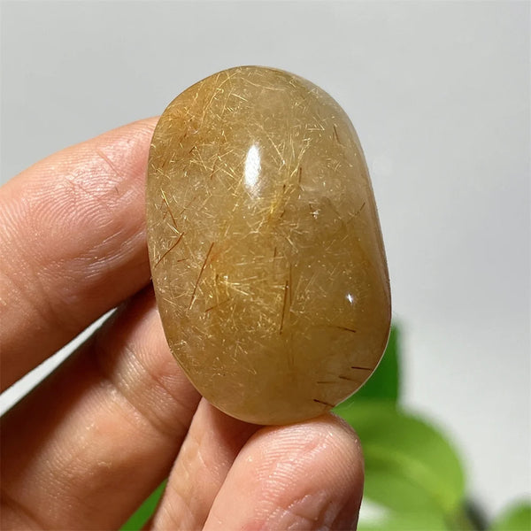 Gold Hair Rutile Quartz-ToShay.org