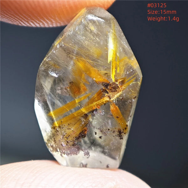 Gold Rutilated Quartz-ToShay.org