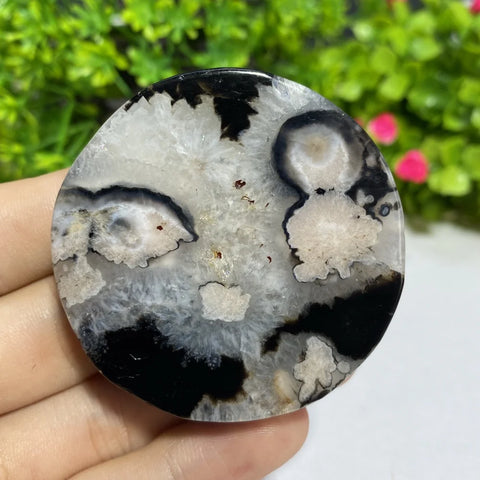 Black Agate Slice-ToShay.org