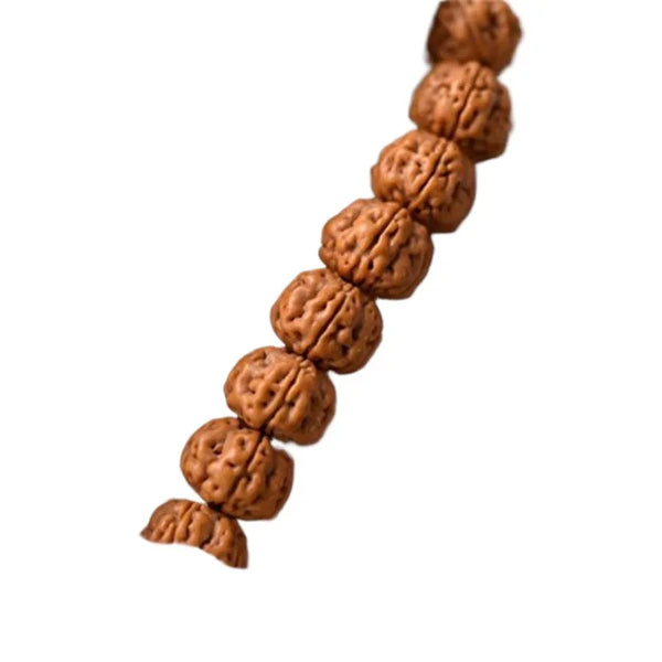 Brown Dragon Lotus Seed Beads-ToShay.org