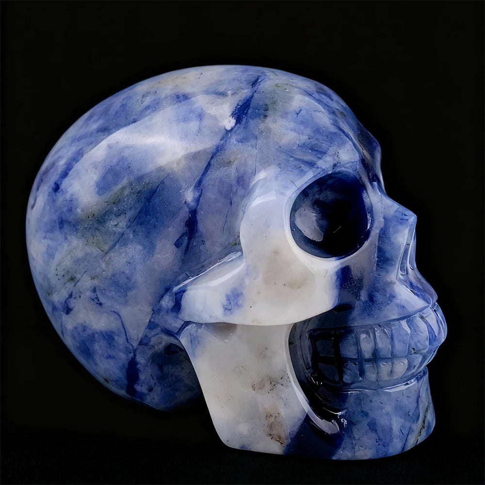 Blue White Porcelain Skull-ToShay.org