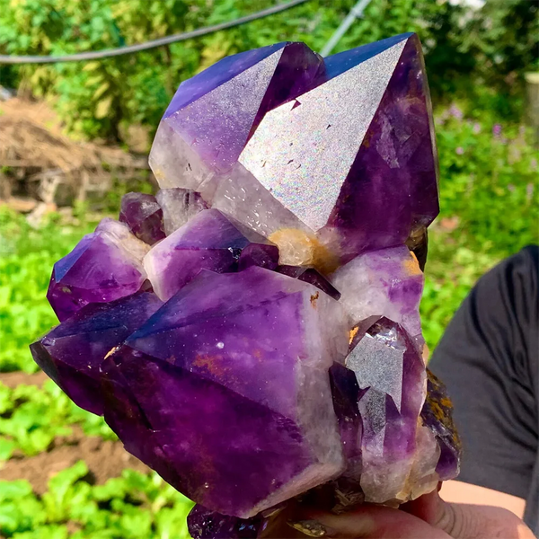 Purple Amethyst Cluster-ToShay.org