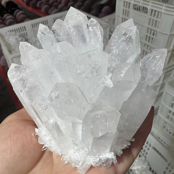 White Quartz Crystal Cluster-ToShay.org