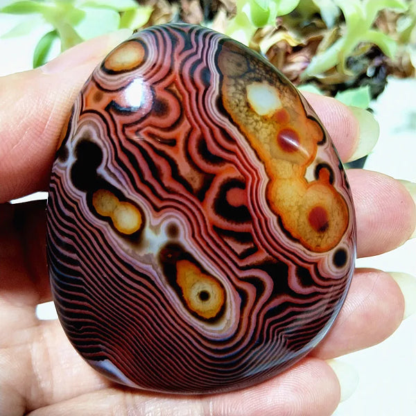 Red Lace Sardonyx Agate-ToShay.org
