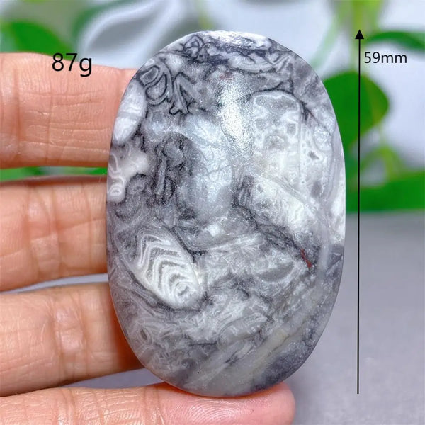 Black White Shellstone-ToShay.org