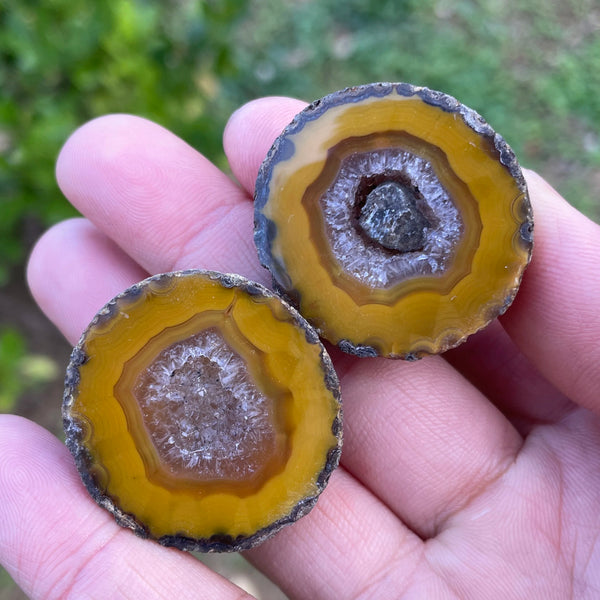 Mixed Agate Geode Egg-ToShay.org