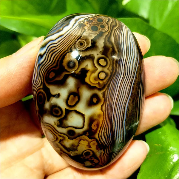 Red Lace Sardonyx Agate-ToShay.org