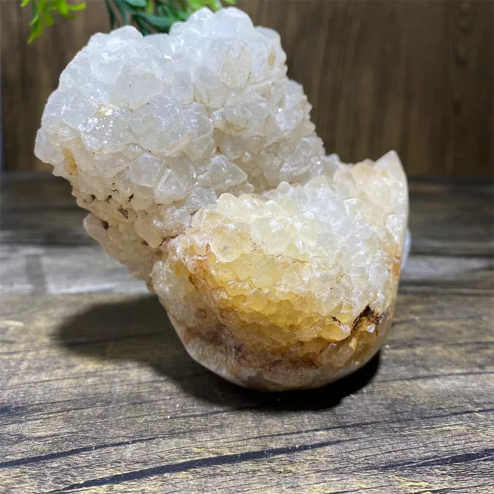 White Quartz Skull Cluster-ToShay.org