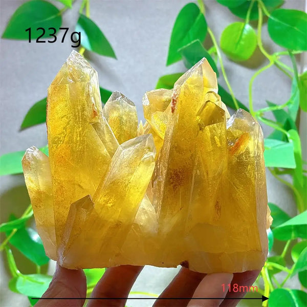 Yellow Citrine Crystal Cluster-ToShay.org