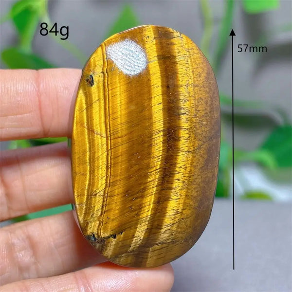 Blue Yellow Tiger Eye-ToShay.org