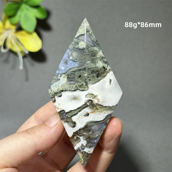 Green Aquatic Plant Agate-ToShay.org