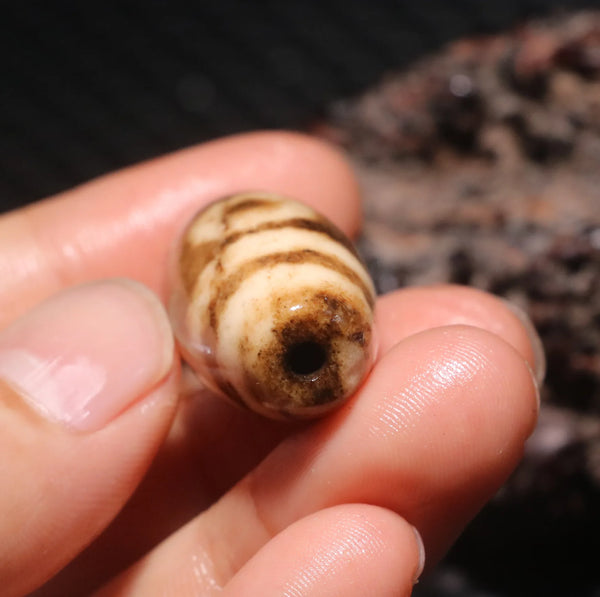 Tibetan Agate Eye Dzi Bead-ToShay.org