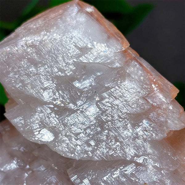 White Melaleuca Calcite Quartz-ToShay.org