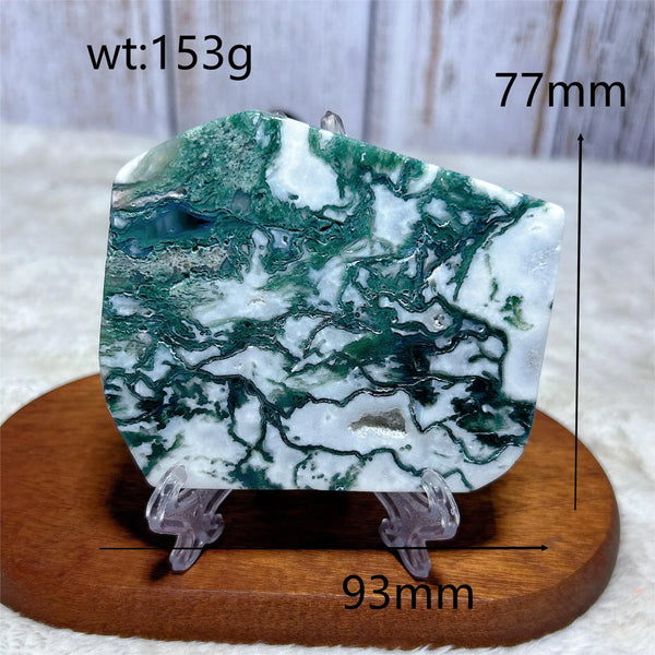 Green Moss Agate Slice-ToShay.org