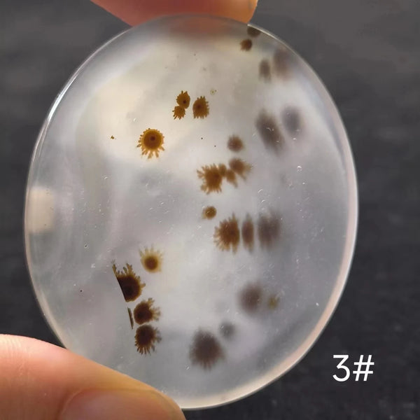 White Onyx Ocean Chalcedony-ToShay.org