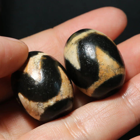 Tibetan Agate Eyes Dzi-ToShay.org