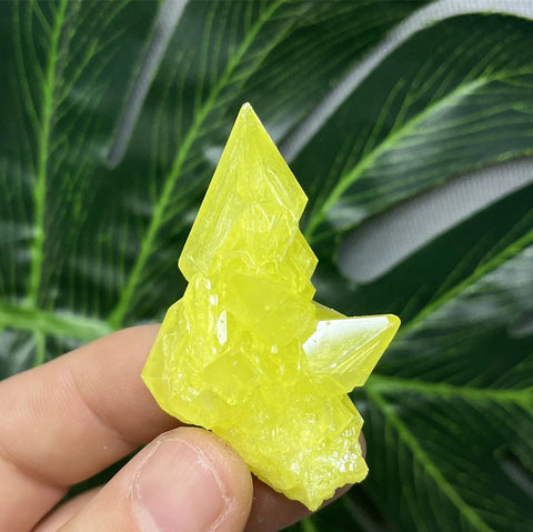 Yellow Sulfur Clusters-ToShay.org