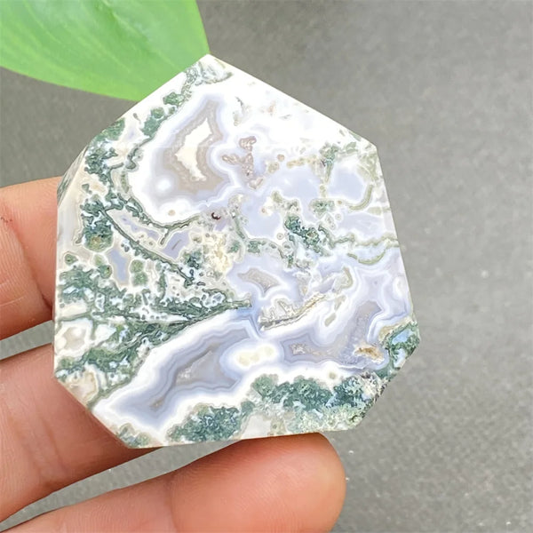 Green Water Plant Agate-ToShay.org
