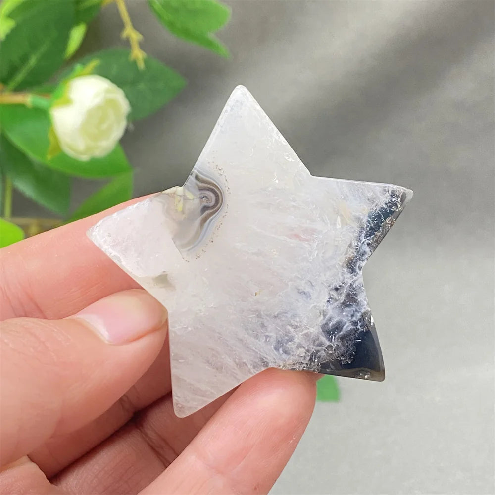 Black Cherry Blossom Agate-ToShay.org