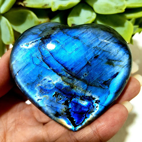 Blue Labrador Stone Heart-ToShay.org