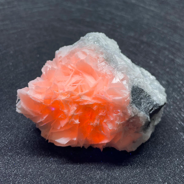 Rose Calcite Crystal Cluster-ToShay.org