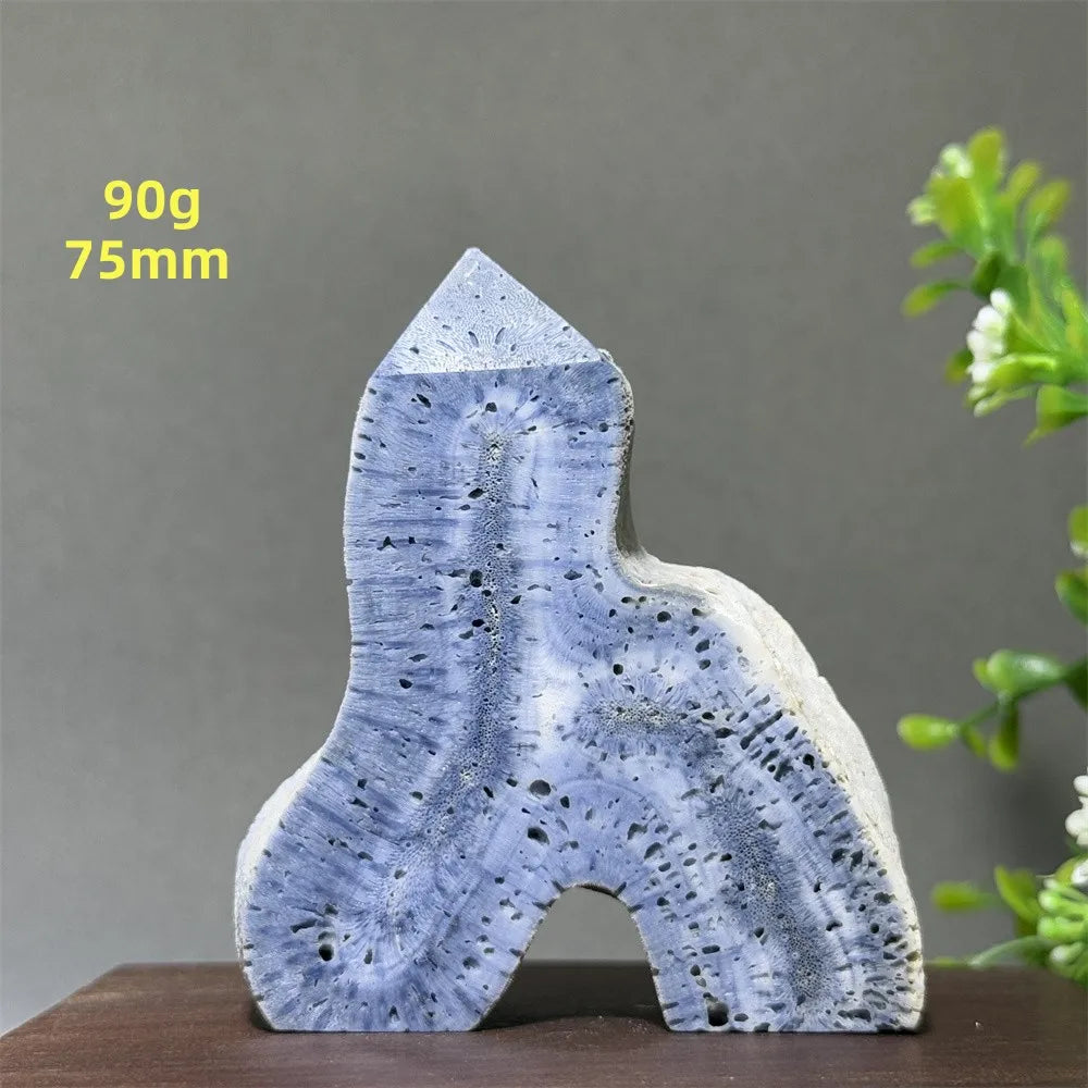 Blue Coral Crystal-ToShay.org