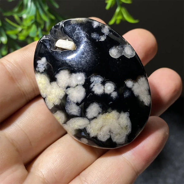 Black Flower Agate-ToShay.org