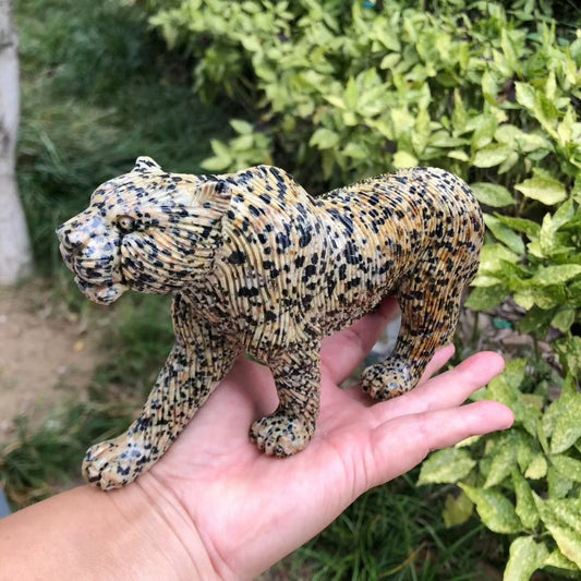 Yellow Dalmatian Stone Leopard-ToShay.org