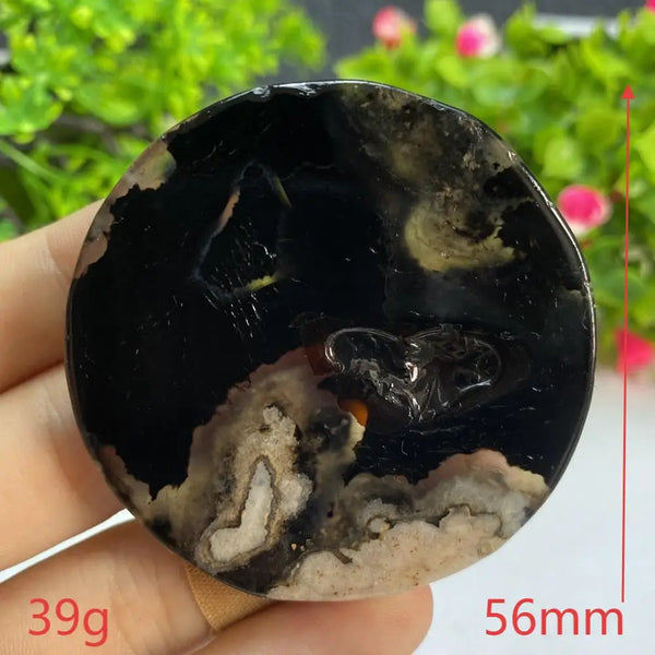 Black Agate Slice-ToShay.org