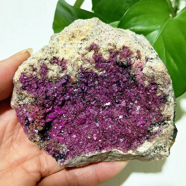 Pink Cobaltocalcite Raw Rock-ToShay.org