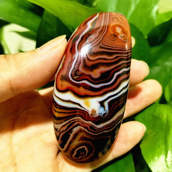Red Lace Sardonyx Agate-ToShay.org