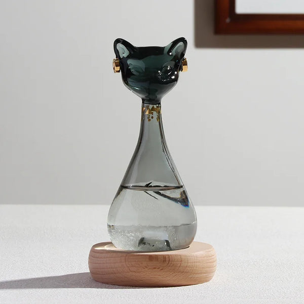 Cat Storm Bottle-ToShay.org