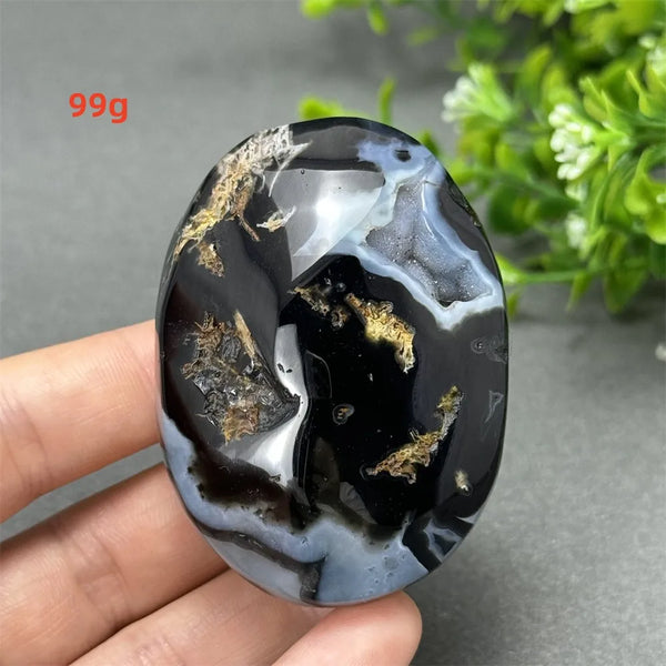 Black Cherry Blossom Agate-ToShay.org